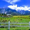 Ladang Tenusu Desa Cattle